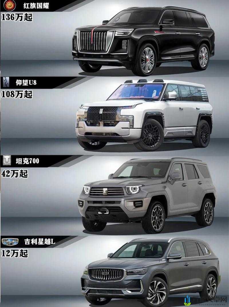 国产 SUV 精品一区二：展现国产 SUV 卓越风采