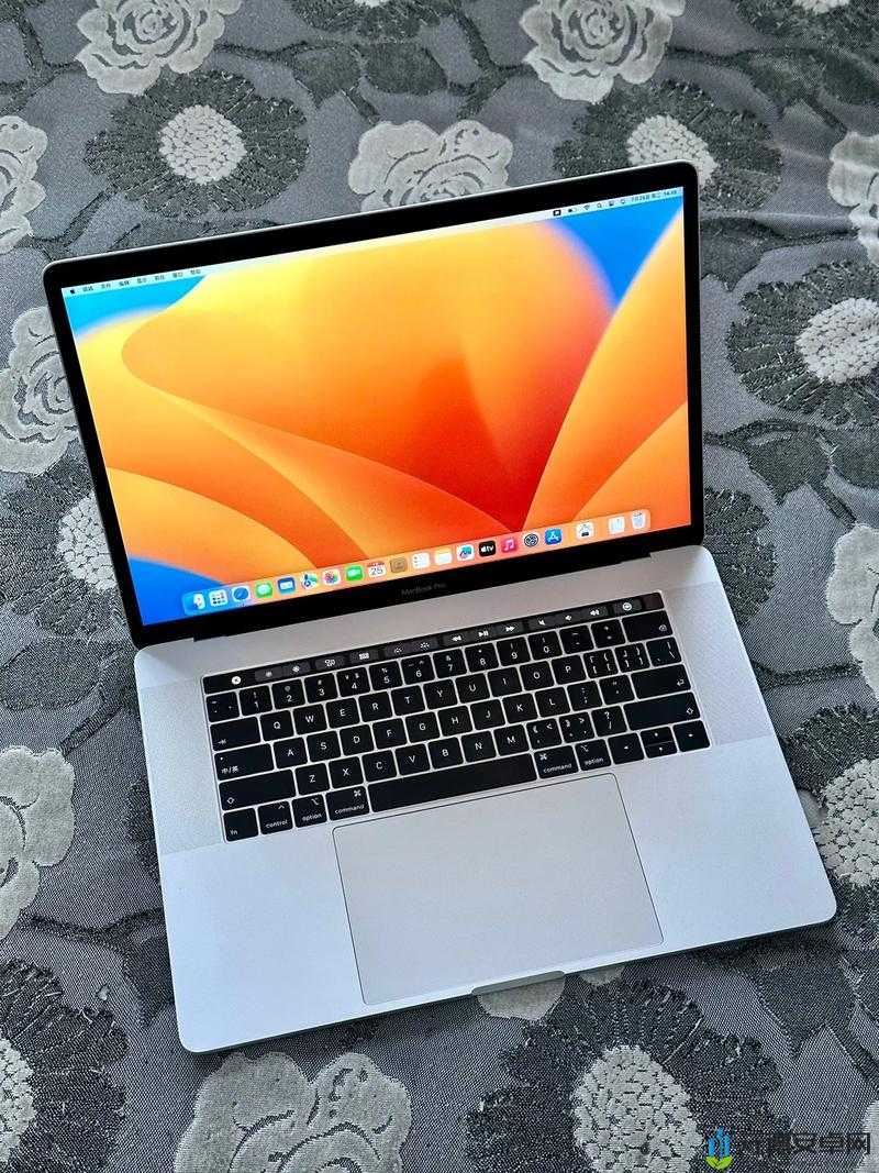 18 岁 macbookpro 高清：专属你的青春伙伴