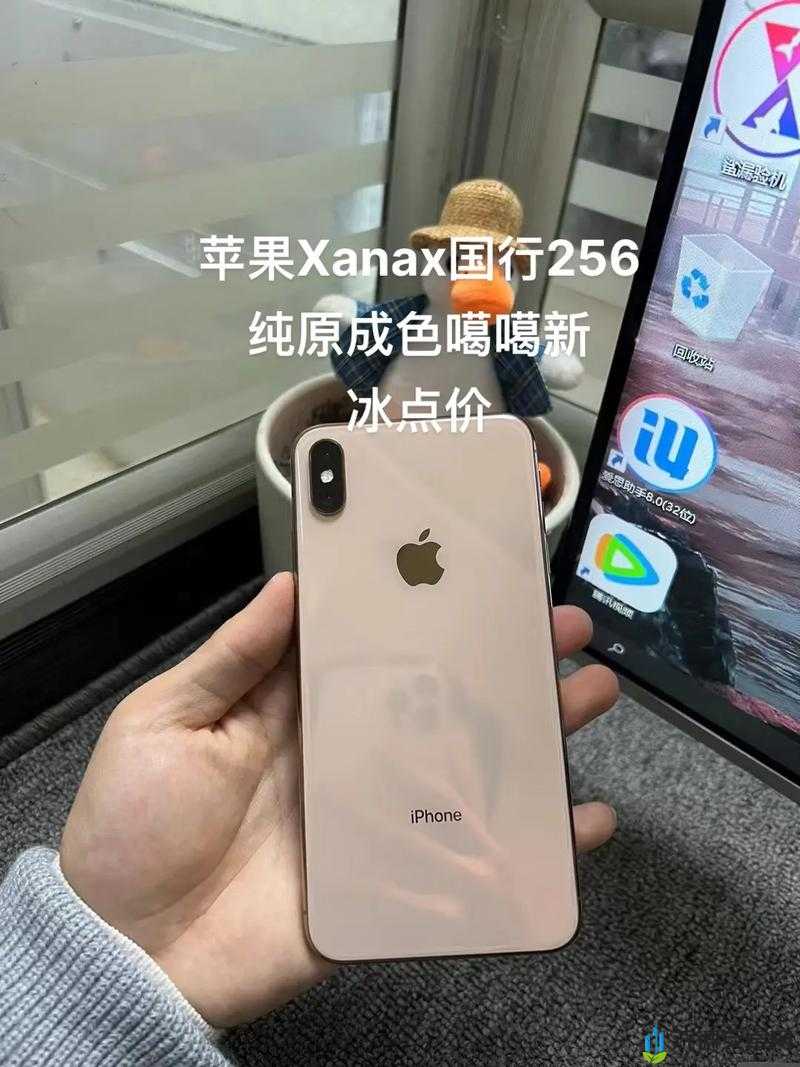 iPhoneXSMax 欧美高级版有哪些特色：深度解析