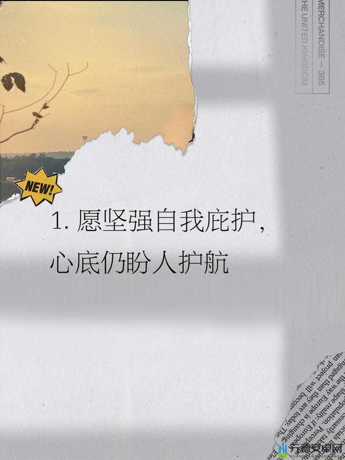 已满十八岁，记得带纸：独自前行的必备素养