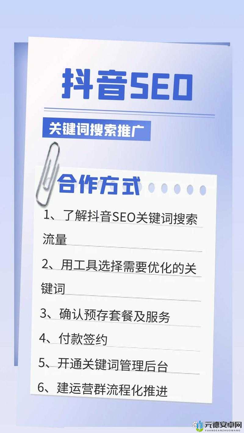 后 SEO 短视频页入口引流：打造高效流量通道