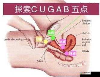 操人网站：探索刺激与快感的独特之地