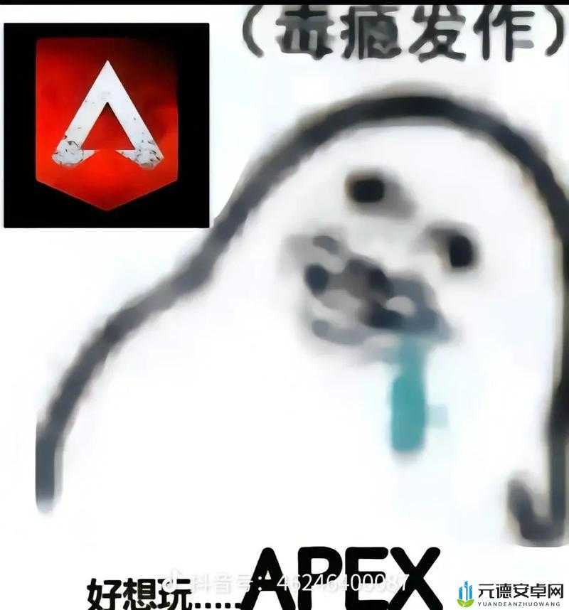 老婆不在家快来玩apex：游戏狂欢时刻