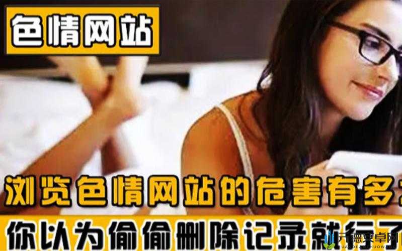 二级黄色网站：精彩内容等你来探索