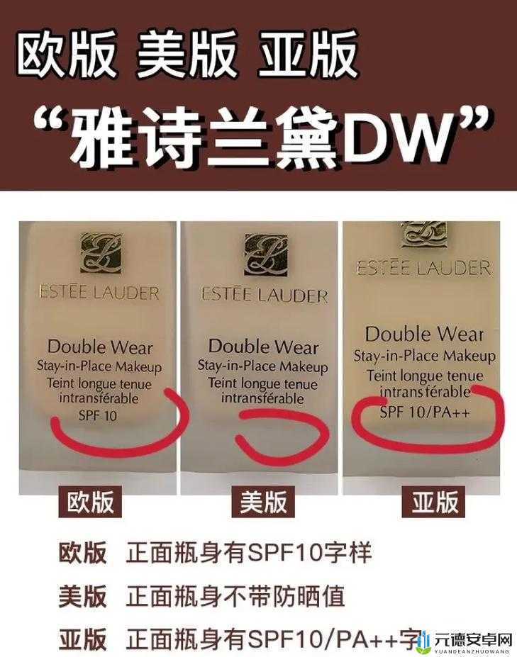 DW 亚洲版与欧洲版区别对比