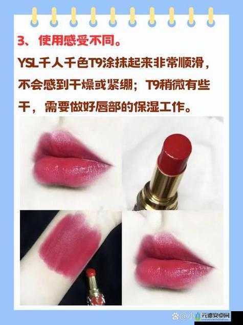 ysl千人千色t9t9t9原片性能-独特魅力展现