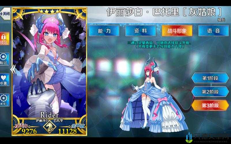 FGO 伊丽莎白巴托里龙娘：实力与美貌并存，宝具阵容搭配指南