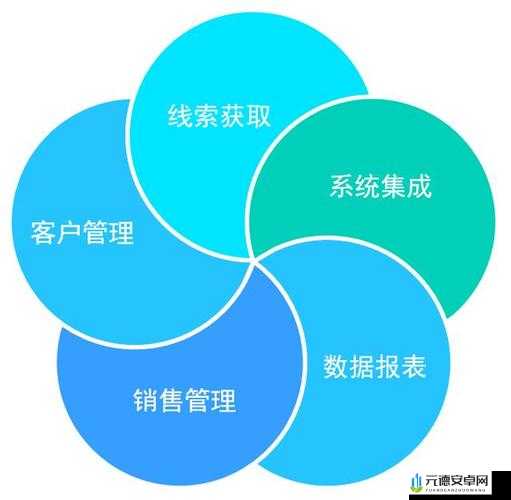 成免费 crm 特色 vip-开启高效管理新篇章