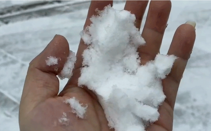 两团雪球快速摇动：奇妙的动态景象