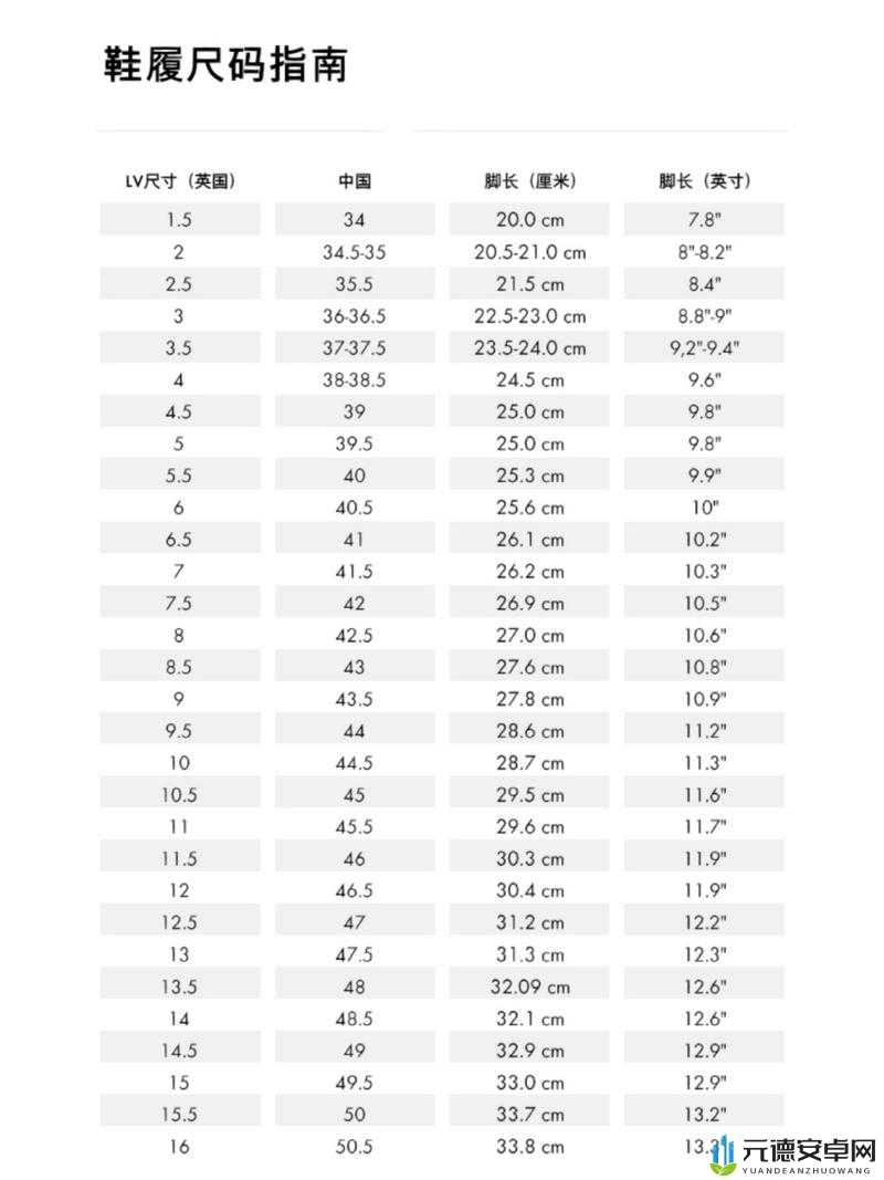 欧洲 LV 尺码大：探究其背后的原因