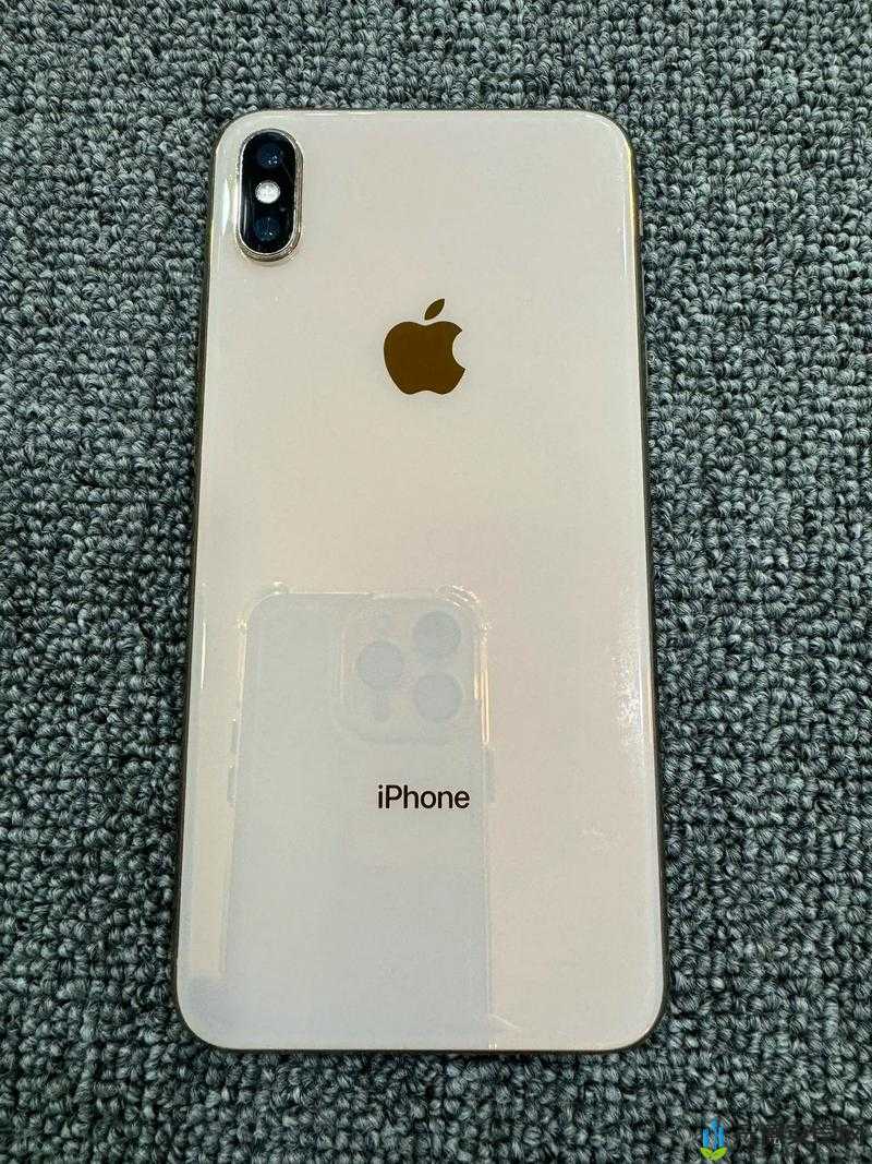 iPhone XS Max：日本市场的新宠