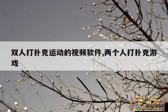 免费做运动视频扑克视频网：专业的运动扑克资源平台