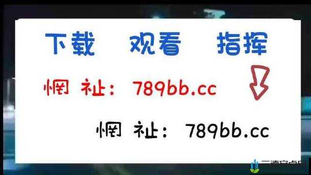 yw193 龙物地址永不失联永久域名地址：优质内容持续更新