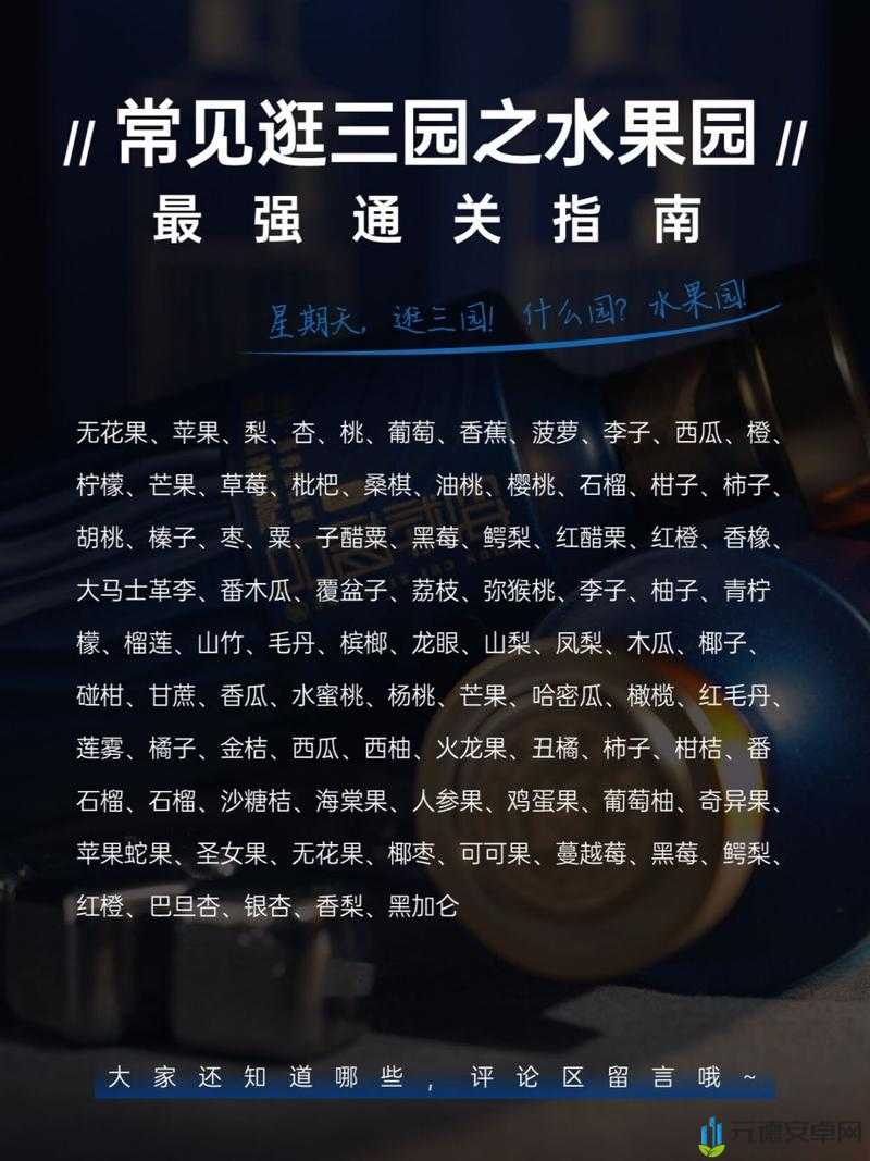 汉字六六六牛魔王耍猴成功通关的详细指南与技巧