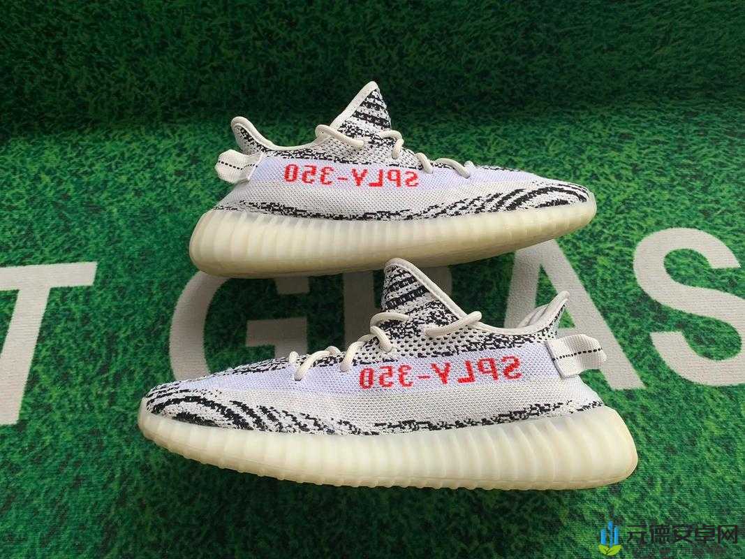 亚洲 yeezy 官网网站：潮流鞋款聚集地