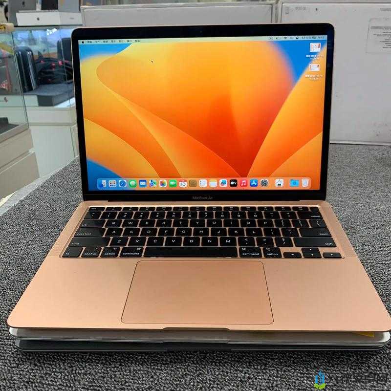 1819 岁拥有的日本 MacBook