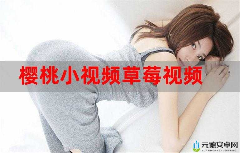 草莓视频在线观看 ios 免费：畅享精彩无限制