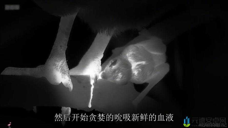 《暗夜翼影：丈蝠舞秦时月》