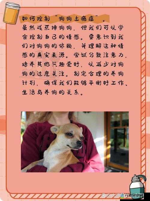 狗狗让我上瘾戒不掉咋办