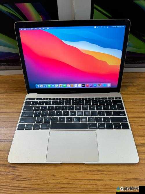 1819 岁拥有的日本 MacBook