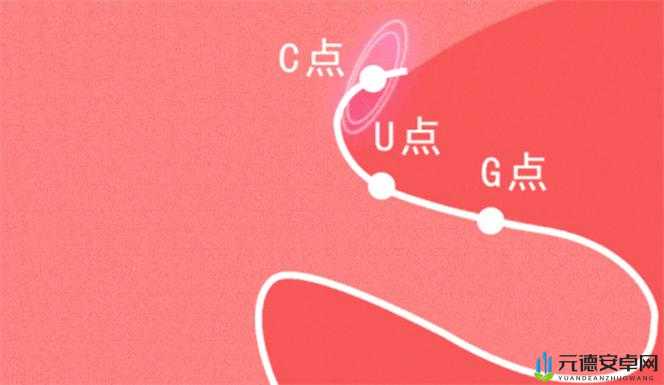 自 W 到高 C 的 25 种方法视频教程：提升性体验的秘籍