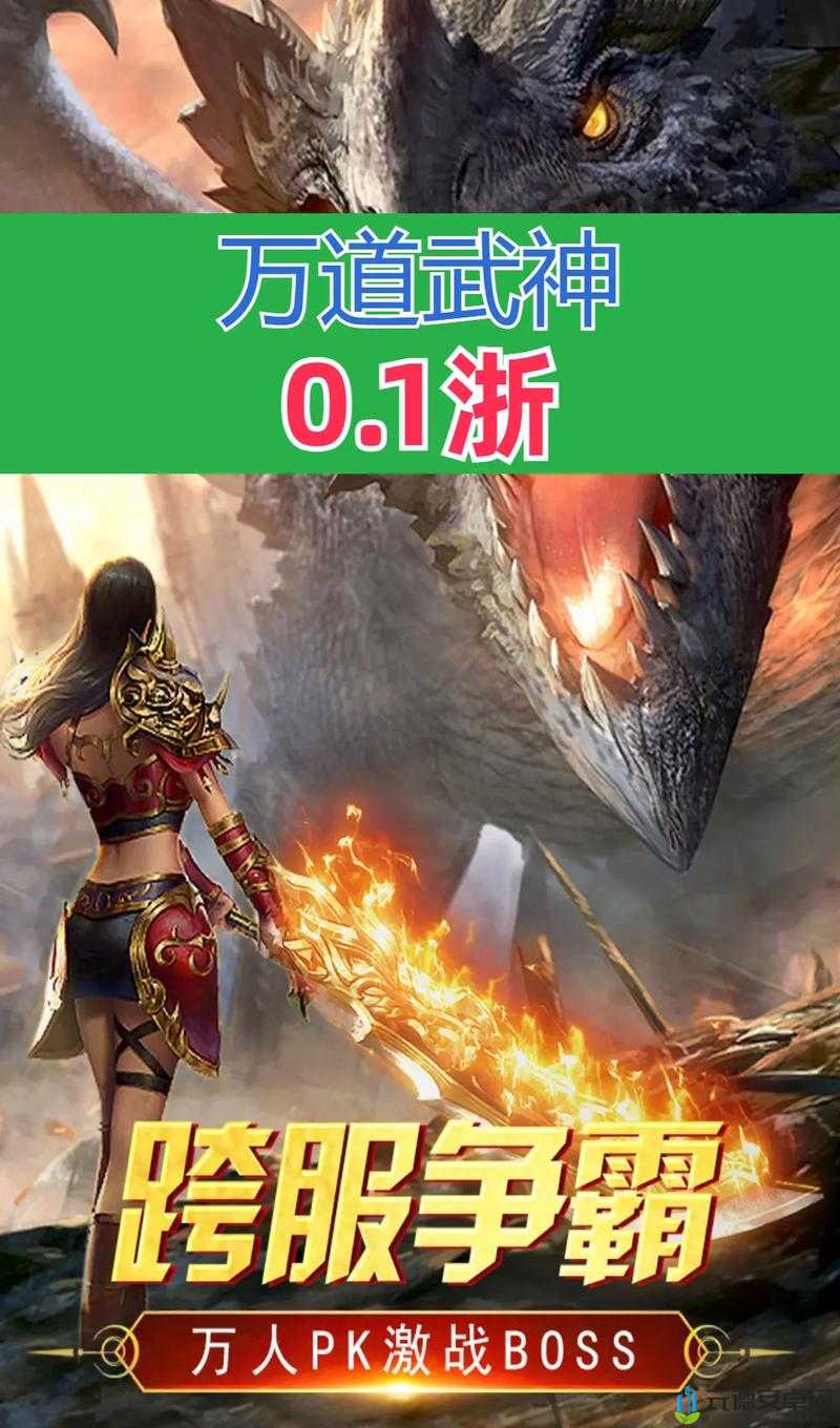 《万道武神》装备专业回收攻略——详尽指南及策略分享