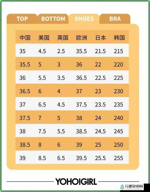 国产尺码与欧洲尺码视频对比及解析