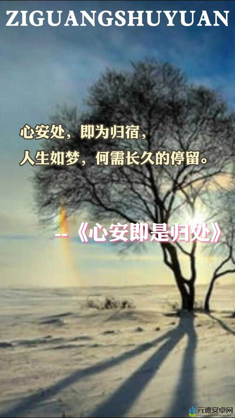 深夜释放自己：一场心灵的洗礼