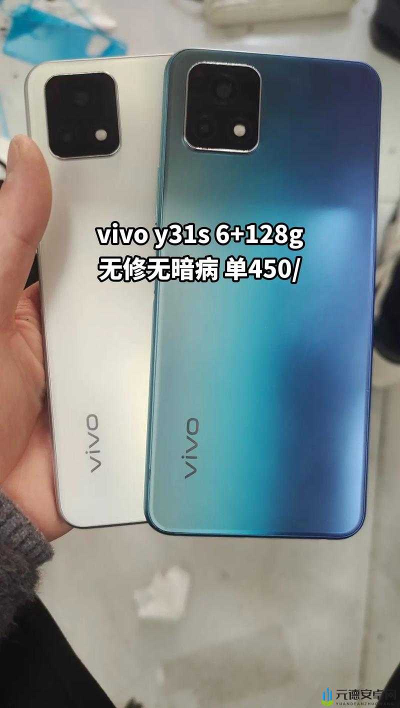 Y31 成色鉴定：详细方法与要点