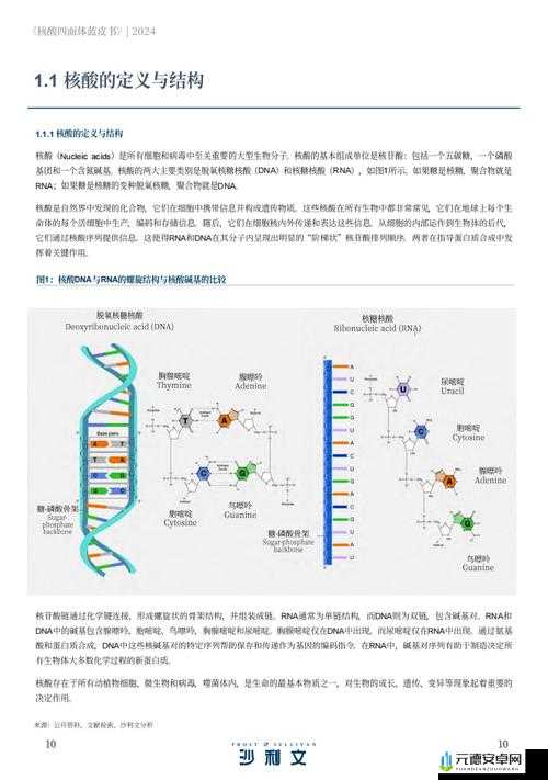 《拯救细胞：细胞合成台升级指南》