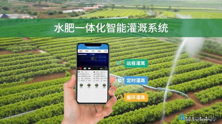 自动灌溉系统 BY 应照离：智能农业的得力助手