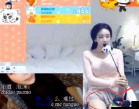 yy 女主播不雅视频：震惊众人的背后真相