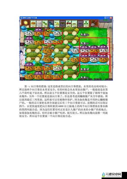 植物大战僵尸 1 无尽模式的玩法全攻略与技巧分享