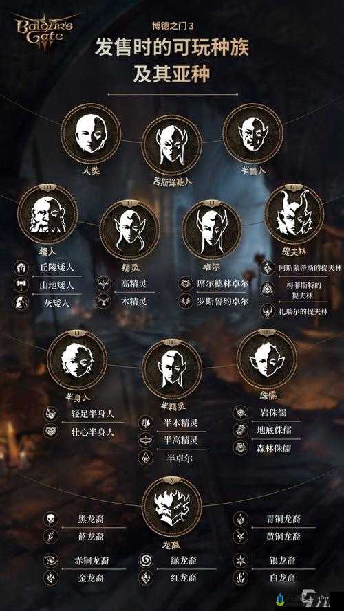 《博德之门3》牧师种族推荐：选择半精灵或矮人种族更合适