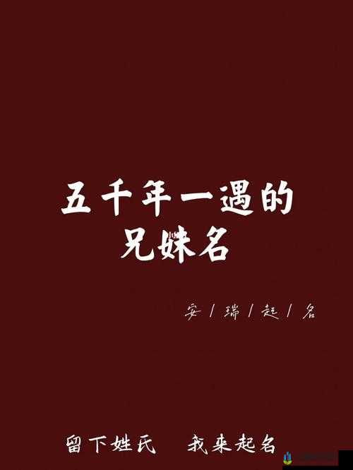 双胞胎姐妹齐上阵叫什么名：一起探索的奇妙之旅