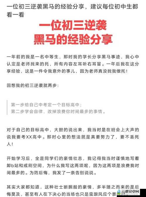 老周张琳公交车分类完善成为一匹黑马：逆袭之路