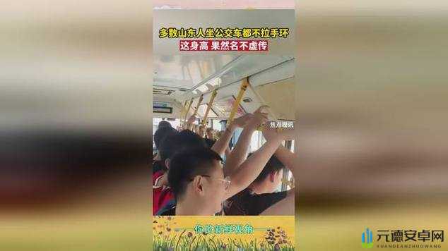 站在公交车里抓着摇曳的手环：别样的公交之旅