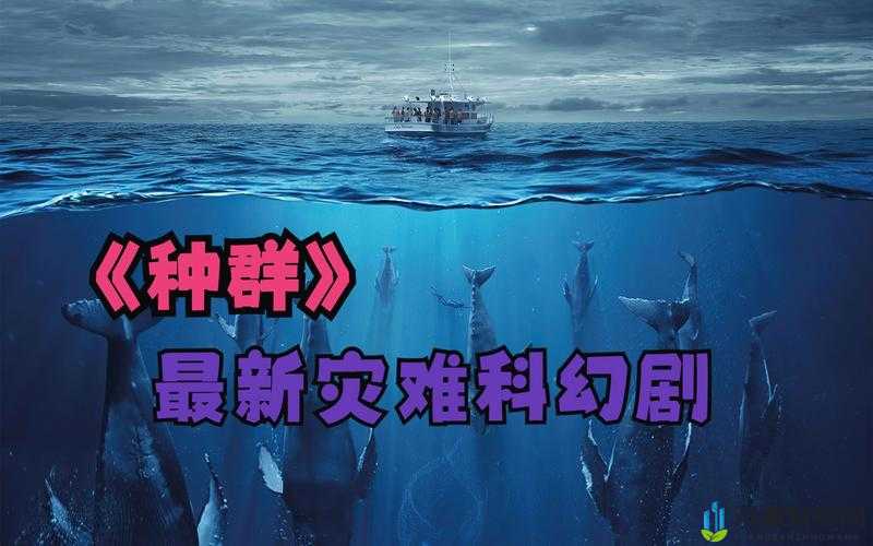 《海洋霸权：擂台PK赛制胜秘籍》