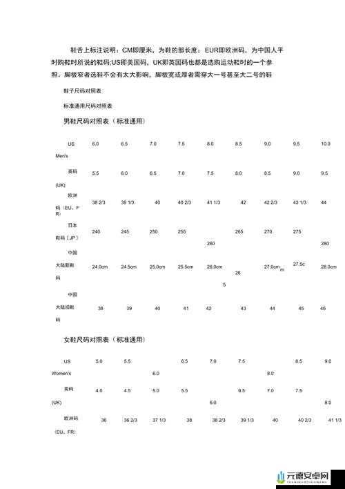 欧洲码 B1B1 相关内容