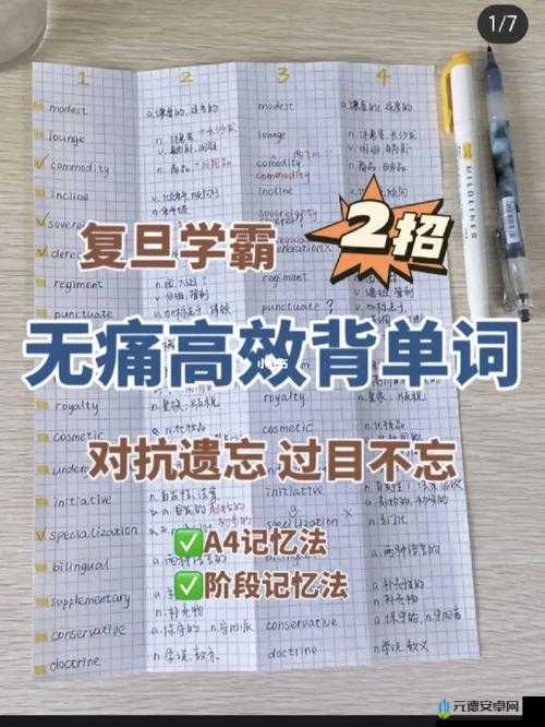 坐在学霸的大紫根上背单词视频：高效记忆法分享