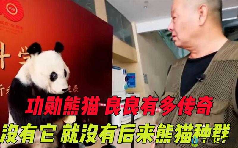 功夫传奇：蝶后传奇熊猫再启征程