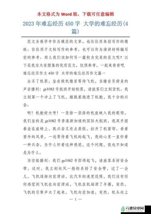 大学：一段难以忘怀的经历